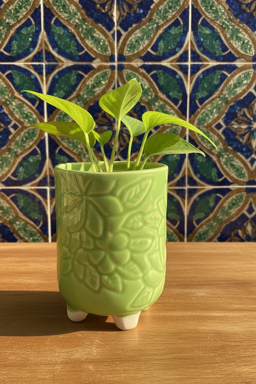 Mosaic Garden Pot