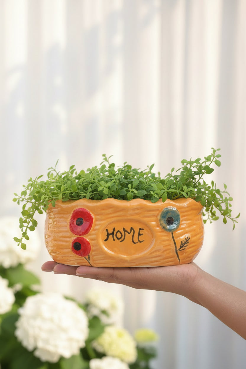 🏡 Home Bloom Wide Ceramic Planter
