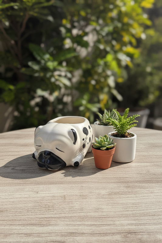 My crockery shop cozy puppy pot