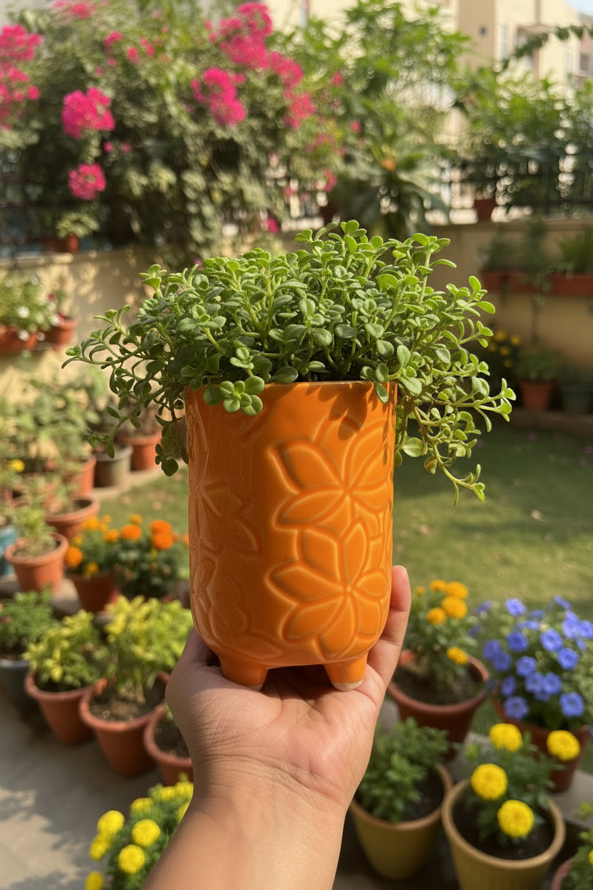 Mosaic Garden Pot