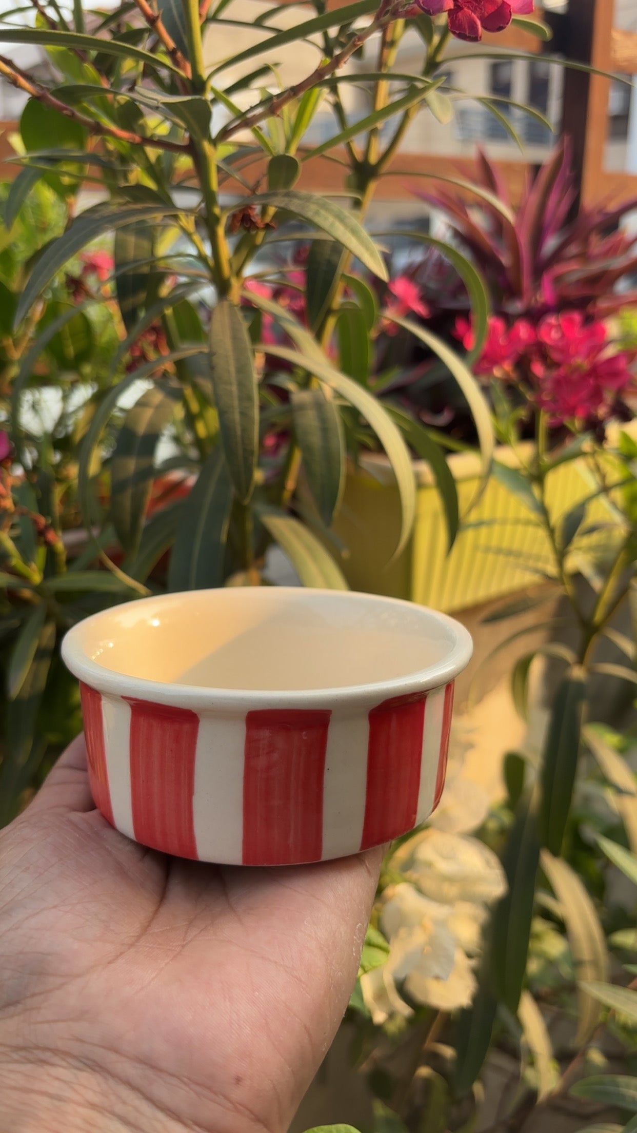 My Crockery Shop Ramekin bowls