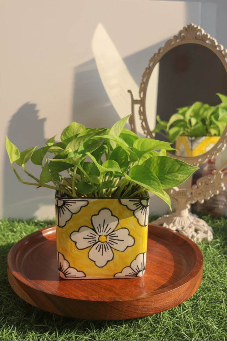 🌸 Rangoli Bloom Ceramic Planter (Set of 1)