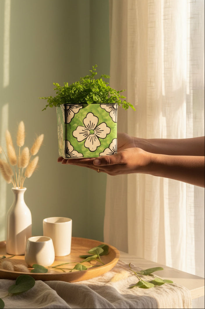🌸 Rangoli Bloom Ceramic Planter (Set of 1)