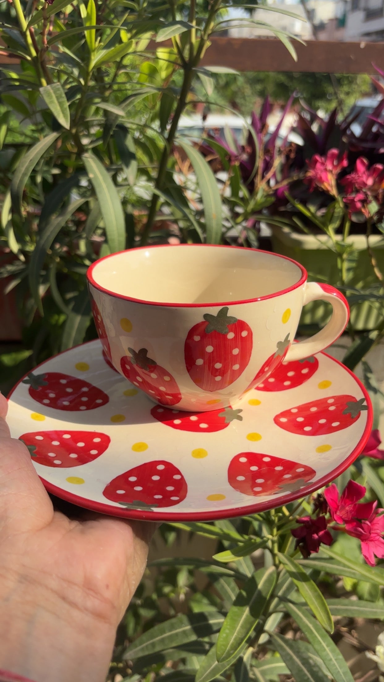 My Crockery shop Sweet Sip Strawberry Set
