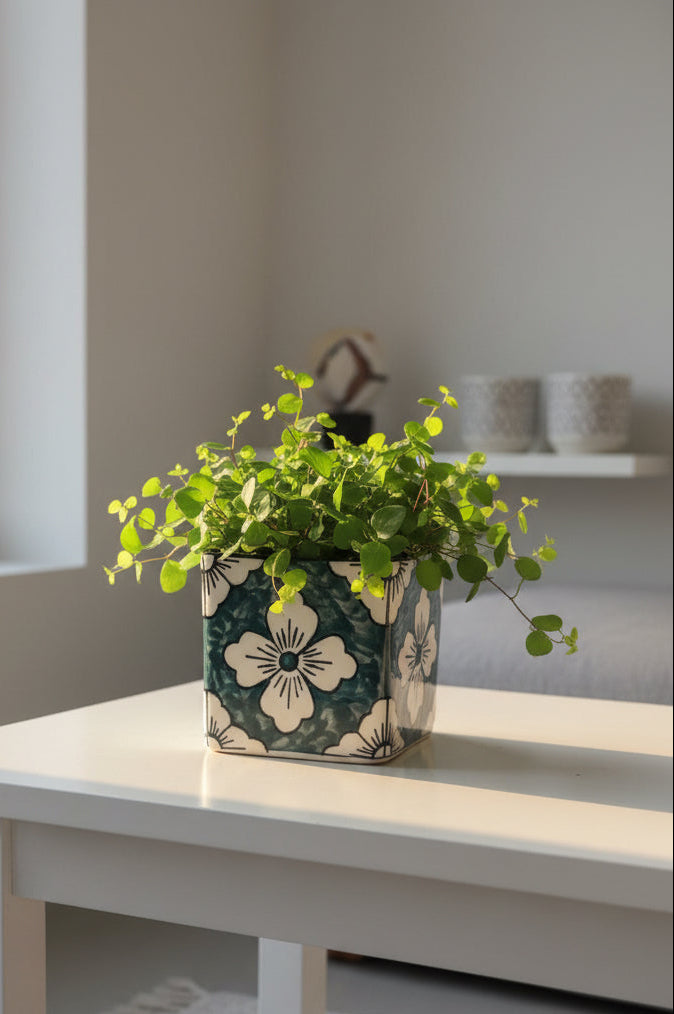 🌸 Rangoli Bloom Ceramic Planter (Set of 1)
