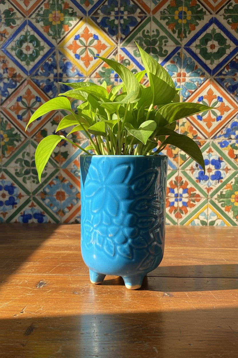 Mosaic Garden Pot
