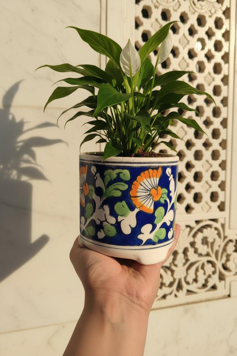 Mughal Hand-Painted Ceramic Planter | Handmade Floral Indoor Pot | 4 x 5 Inch | My Crockery Shop
