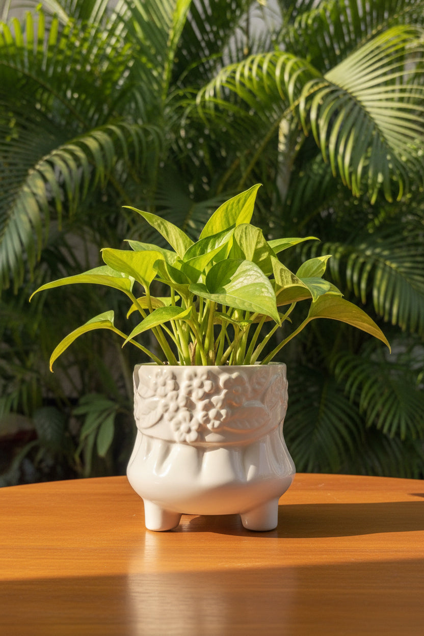 Embossed flower planter