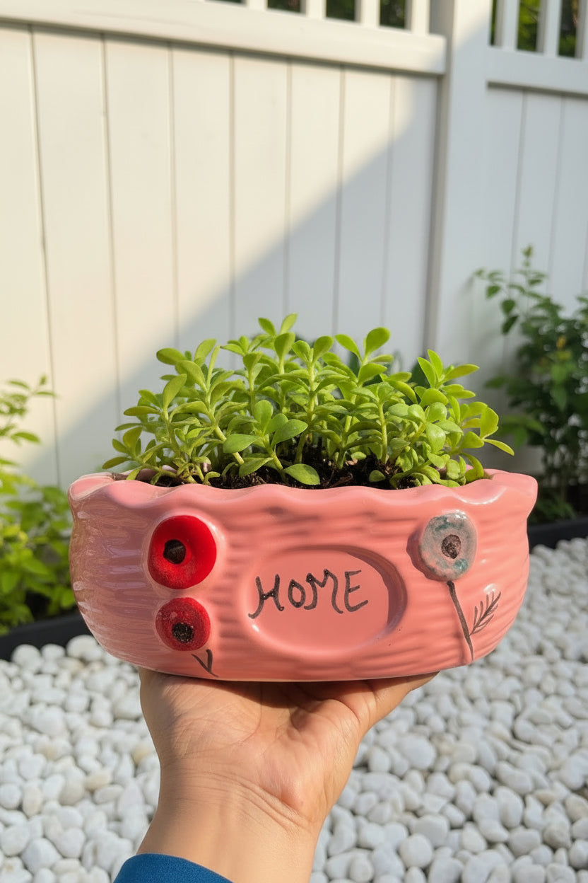 🏡 Home Bloom Wide Ceramic Planter