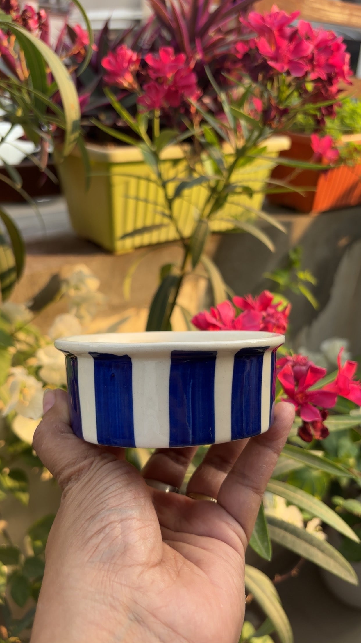My Crockery Shop Ramekin bowls
